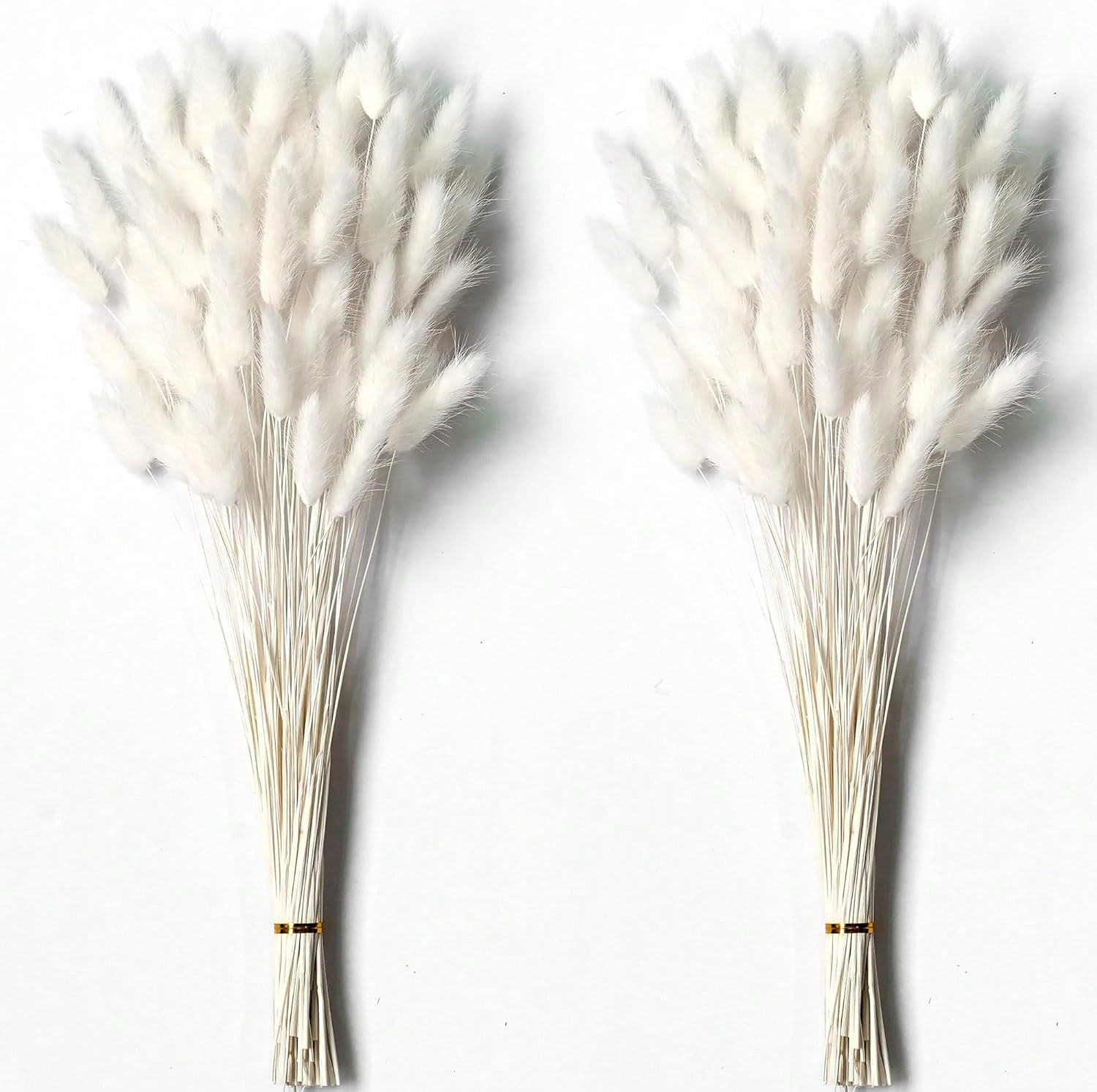 Pampas Grass Decor - 120 adet kurutulmuş Pampas çim dekor