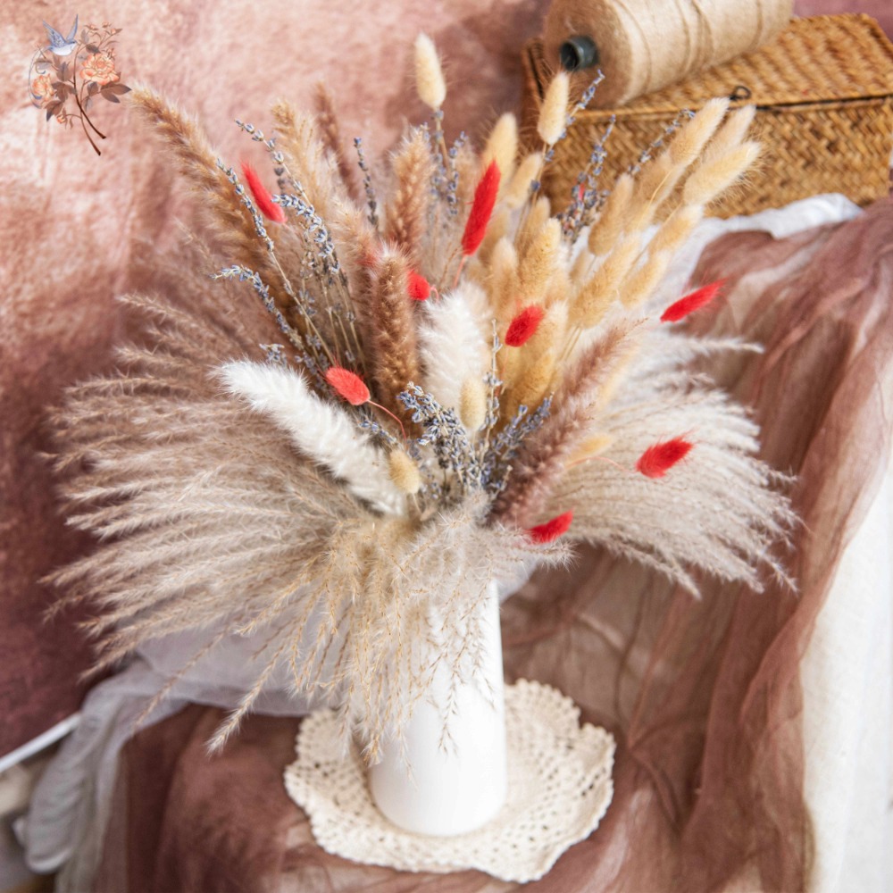 Doğal Pampas Lavanta Kurutulmu - Pampas Grass Decor incelemesi ve fiyatı
