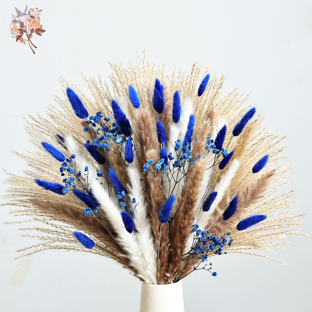 LED Perde Işığı, Noel ve Yılba - Home Decor Free App incelemesi ve fiyatı