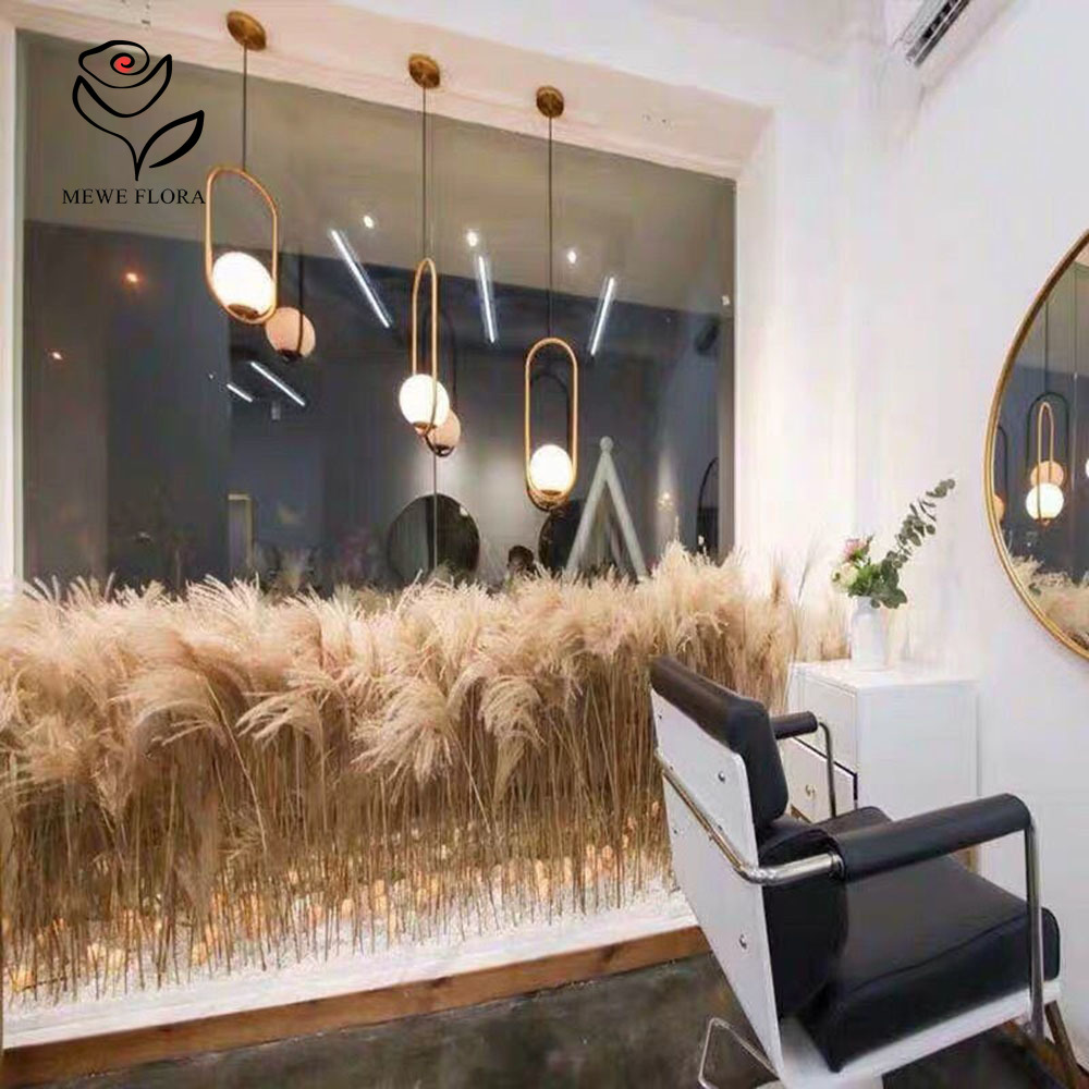 200 adet doğal kurutulmuş kaba - Pampas Grass Decor incelemesi ve fiyatı