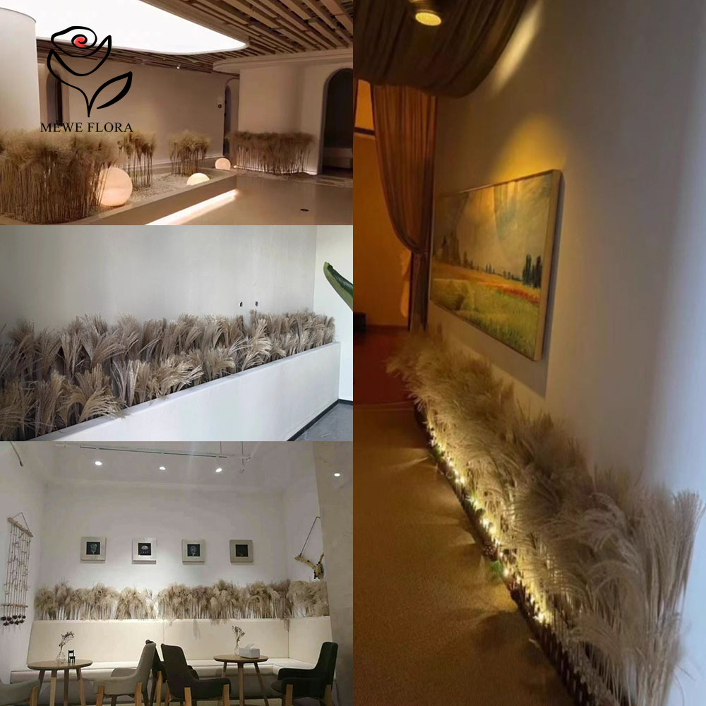 200 adet doğal kurutulmuş kaba - Pampas Grass Decor incelemesi ve fiyatı