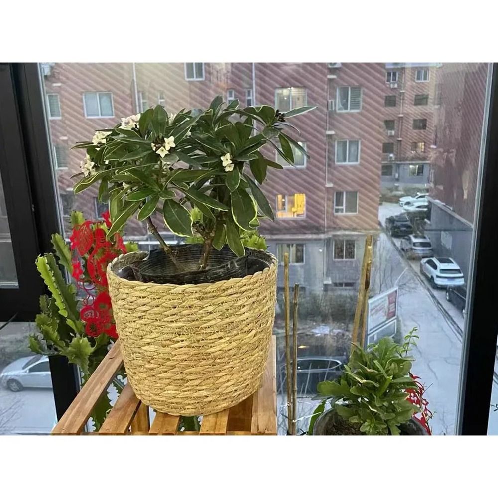 Bahçe terasları için 1 adet sa - Rattan Plant Basket incelemesi ve fiyatı